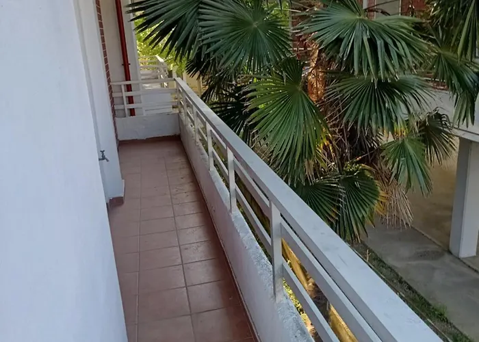 Catalina Studios