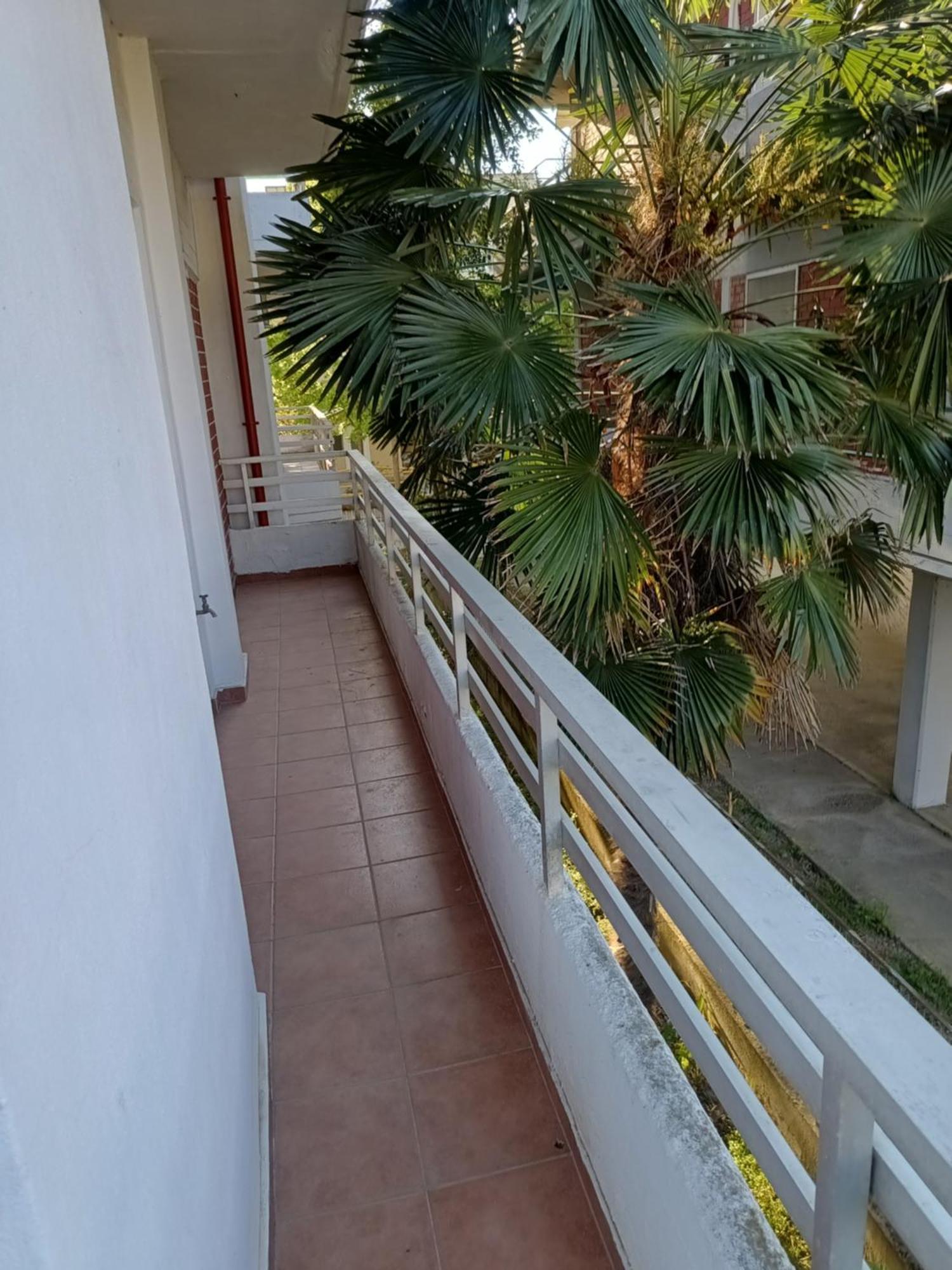 Apartment Catalina